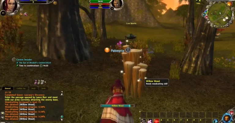 Runes of Magic emulator server files setup